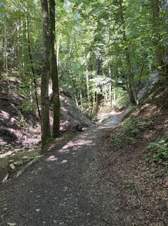 Фото с сайта Franz Furtmüller во время экскурсии