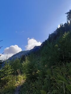 Photo de sntyy le long du parcours