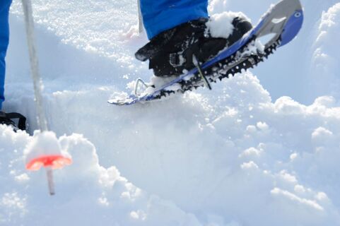 Schneeschuhwandern