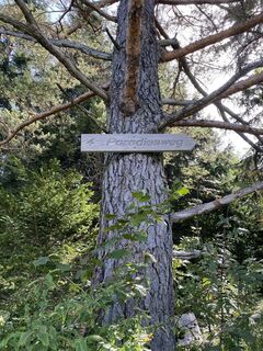 Fotografia z Sven Krieblin na trase