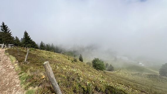 Fotografie z Volki F. na trase
