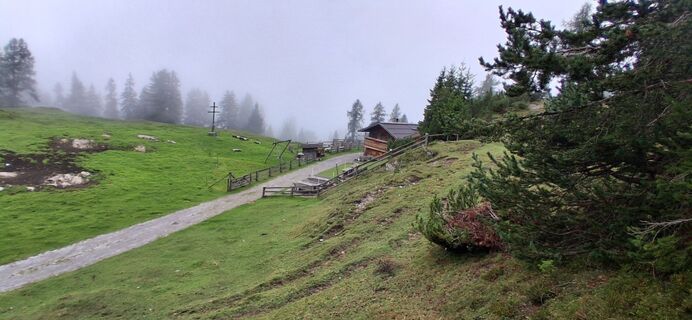 Foto von Pfausler Pfausler entlang der Tour