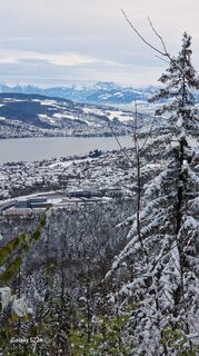 Foto från USA under resans gång
