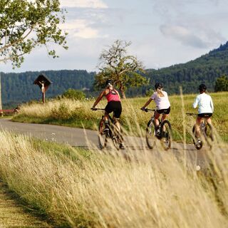 Radfahrer auf der Obstwiesen-Tour
