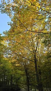 Foto von Katja Senkel entlang der Tour