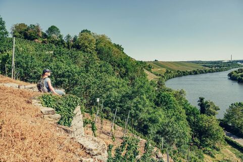 DSGVO NT Lauffen a N Katzenbei er Steillagen Blick auf Neckar Aussicht 06 web