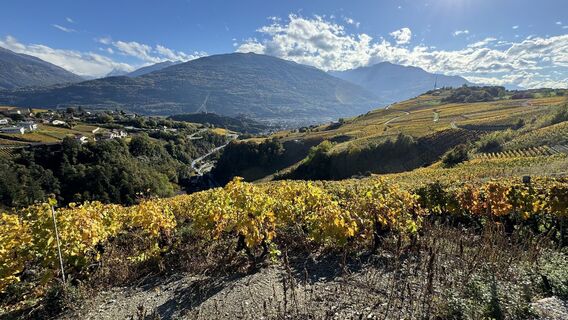 Photo de peter_oe le long du parcours