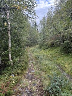 Foto fra Jako Koel undervejs på turen