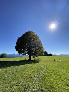Foto von Sven Krieblin entlang der Tour