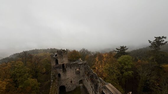 Foto da Ansgar Unde Vrederun lungo il tour