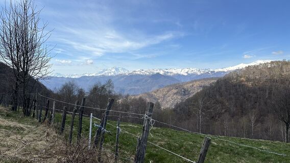 Fotografija s spletne strani denis lucchina na poti