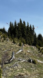 Fotografia z Erwin01 na trase