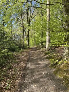 Fotografia z Thorsten Strüver na trase