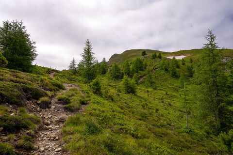 Der Weg nach oben.jpg