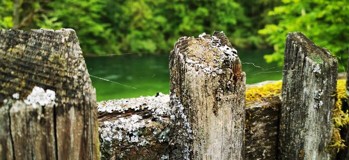 Photo de Klaus Lehner le long du parcours
