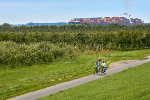 Radfahrer auf dem Elberadweg