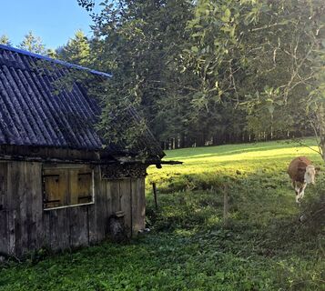 Foto von Veronika Strauss entlang der Tour