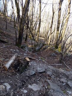 Photo de Paolo Paganini le long du parcours