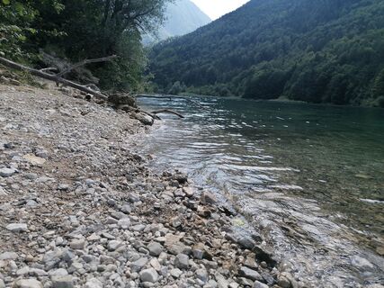 Photo de Turbinio le long du parcours