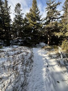 Fotografija s spletne strani Péter Vass na poti