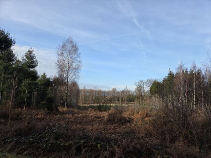 Foto von Silke S. entlang der Tour