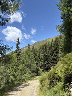Foto de MOUNTAINGOAT11 a lo largo del recorrido