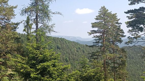 Fotografija s spletne strani Bergpirat na poti
