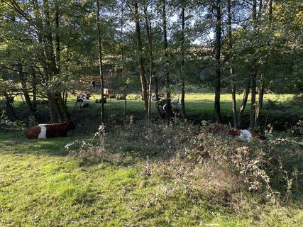 Fotografia z Thorsten Schulze na trase