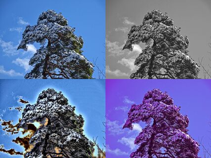 kleine Fotospielerei