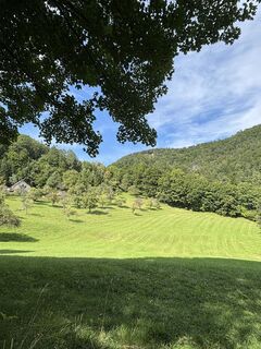 Fotografia z RS76 na trase