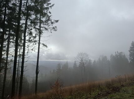 Foto von Karin-Wandert entlang der Tour