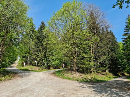 Tanzbergweg (Gr 2)