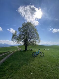 Foto von Sven Krieblin entlang der Tour