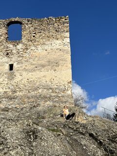 Photo de Wolfgang Kuntner le long du parcours