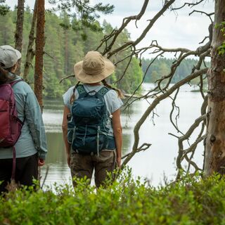 Gratweg im Nationalpark Petkeljärvi