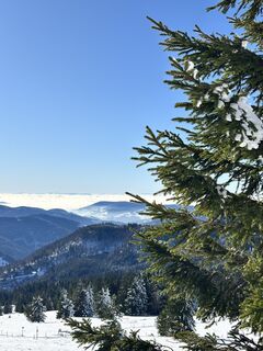 Fotografie z Viola na trase