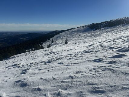 Foto von Carola Krems entlang der Tour