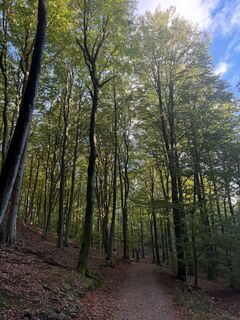 Foto von Mattias Von Haartman entlang der Tour
