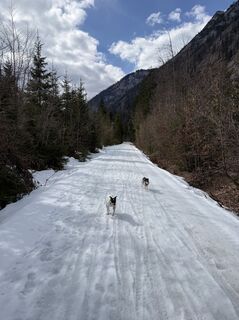 Fotografija s spletne strani Moonlight13 na poti