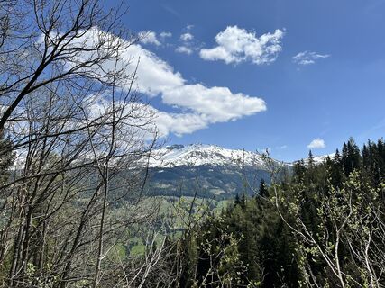 Foto von Kerstin Albrecht entlang der Tour