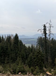 Fotografia z Mandy Friedrich na trase