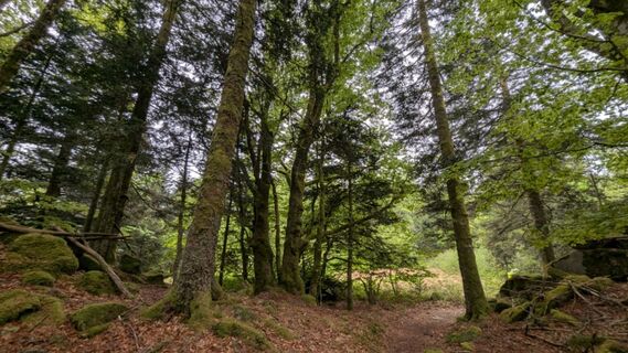 Photo de Richard Schwald le long du parcours
