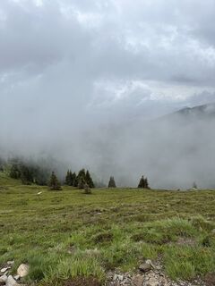 Photo de Schabsi le long du parcours