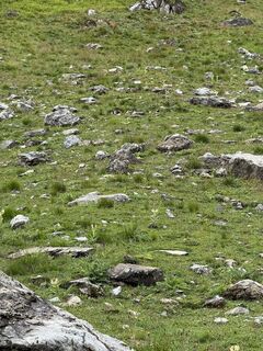 Photo de Tw Info le long du parcours