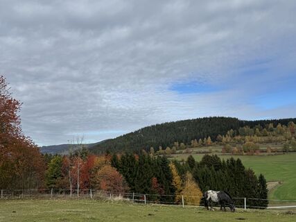 Foto von Ulrich Höhs entlang der Tour