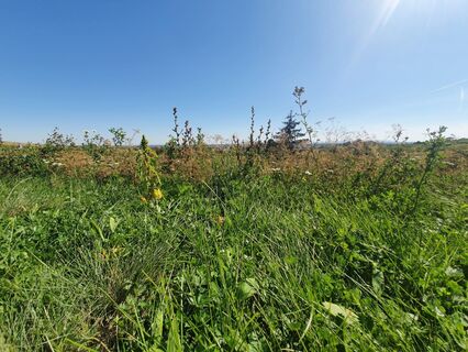 Landschaft