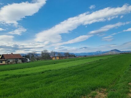 Foto von Grizli entlang der Tour