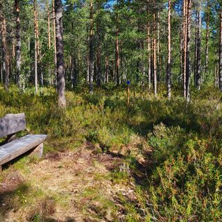 Kerittyjärven Rastbank