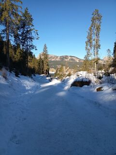 Fotografie z Bettina Miller 1 na trase