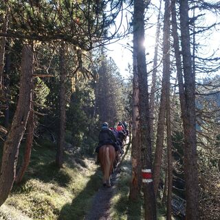 Aufstieg zum Ofenpass